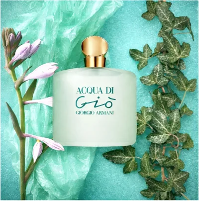 Giorgio Armani Acqua Di Gio 100ML EDT